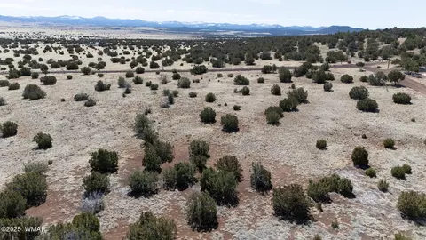 75 County Road 8012, Concho, AZ 85924