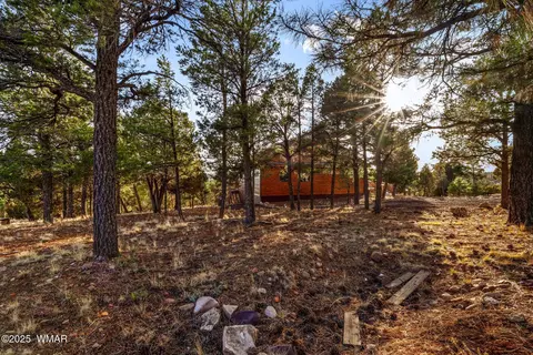 2810 Skyhawk Dr, Overgaard, AZ 85933 photo 42