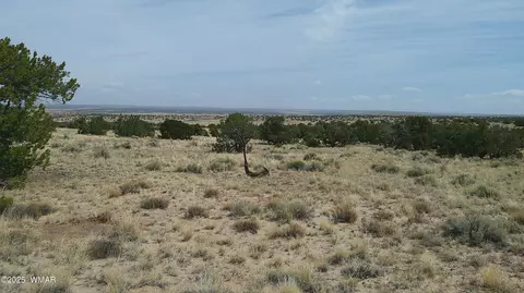 tbd St John S, Saint Johns, AZ 85936