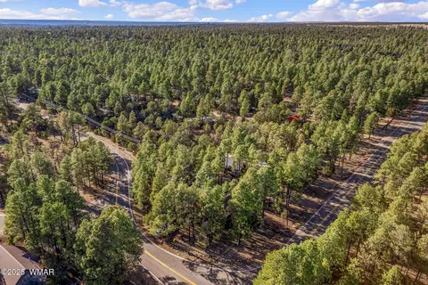 View/Area - 2190 Oval Dr, Overgaard, AZ 85933 photo 4 of 4