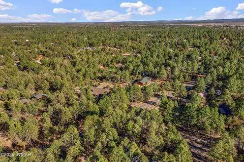 View/Area - 2190 Oval Dr, Overgaard, AZ 85933 photo 3 of 4