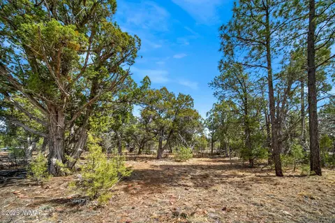1760 S Monkshood Rd, Show Low, AZ 85901