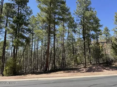 1680 W Snow Creek Loop, Show Low, AZ 85901
