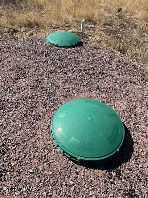 6 County Road 2331, Alpine, AZ 85920 photo 9
