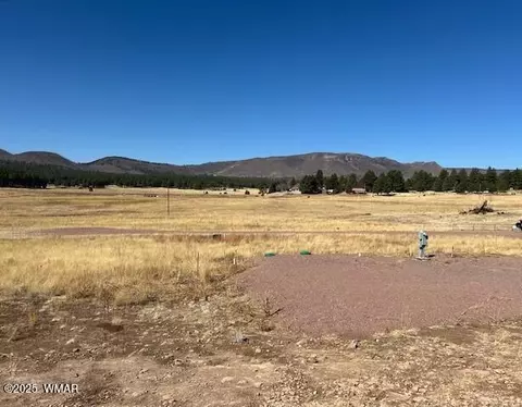 6 County Road 2331, Alpine, AZ 85920 photo 13