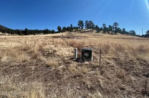 6 County Road 2331, Alpine, AZ 85920 photo 4