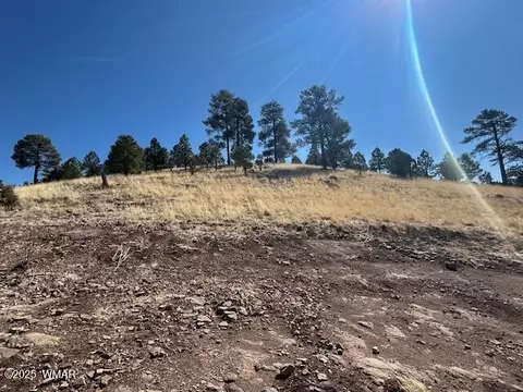 6 County Road 2331, Alpine, AZ 85920 photo 10