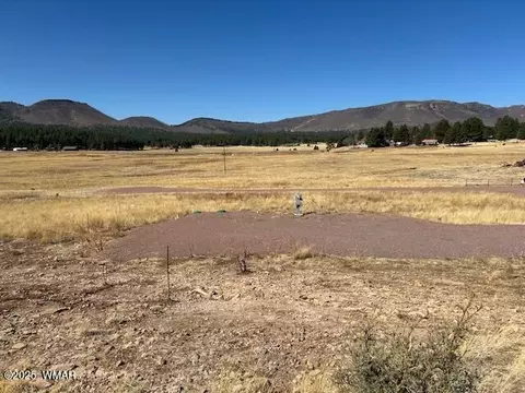 6 County Road 2331, Alpine, AZ 85920 photo 15