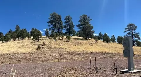6 County Road 2331, Alpine, AZ 85920 photo 17