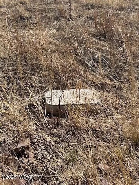 6 County Road 2331, Alpine, AZ 85920 photo 3