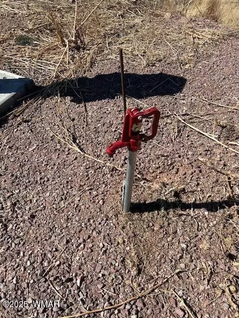 6 County Road 2331, Alpine, AZ 85920 photo 6