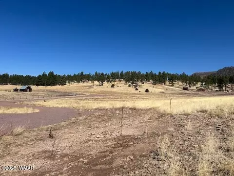 6 County Road 2331, Alpine, AZ 85920 photo 14