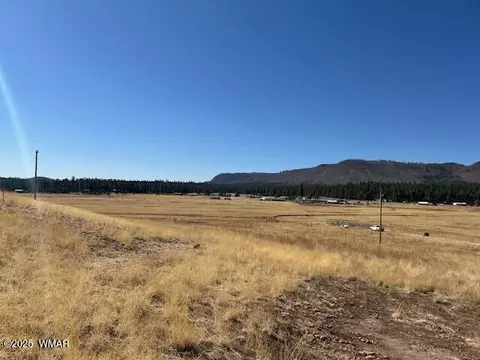6 County Road 2331, Alpine, AZ 85920 photo 11