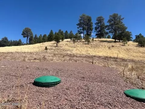 6 County Road 2331, Alpine, AZ 85920 photo 16