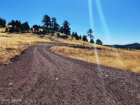 6 County Road 2331, Alpine, AZ 85920 photo 2