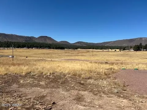 6 County Road 2331, Alpine, AZ 85920 photo 12