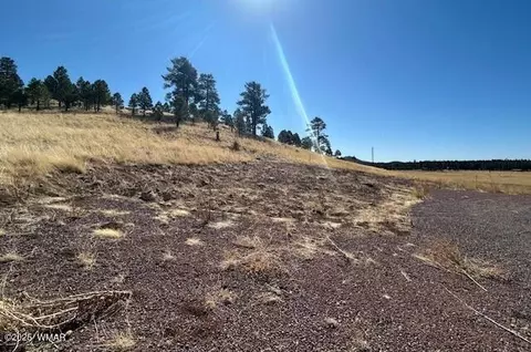 6 County Road 2331, Alpine, AZ 85920 photo 5