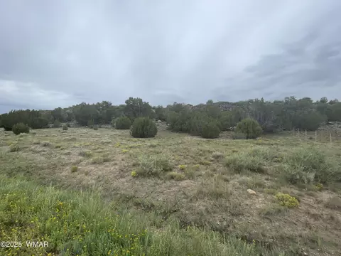 83 Charleen Dr, Concho, AZ 85924