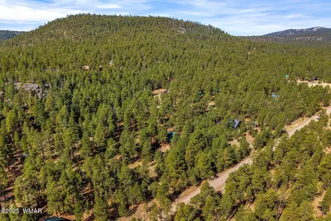 576 County Road 1122, Greer, AZ 85927 photo 31