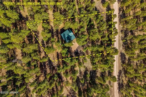 576 County Road 1122, Greer, AZ 85927 photo 34