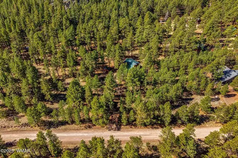 576 County Road 1122, Greer, AZ 85927 photo 29