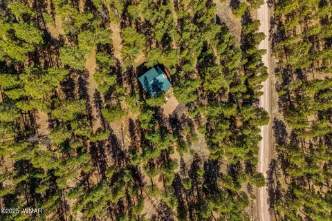 576 County Road 1122, Greer, AZ 85927 photo 32