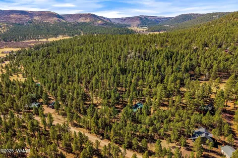 576 County Road 1122, Greer, AZ 85927 photo 30
