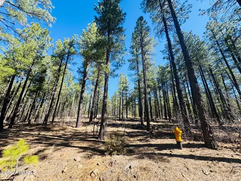 9584 Sierra Springs Way, Pinetop, AZ 85935