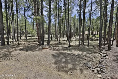 2682 Brahma Cir, Pinetop, AZ 85935
