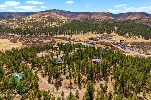 View/Area - 56 North St, Greer, AZ 85927 photo 1 of 6