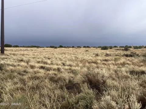 5499 State Route 277, Snowflake, AZ 85937