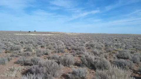 tbd River Meadows Ranch 2, Concho, AZ 85924 photo 5