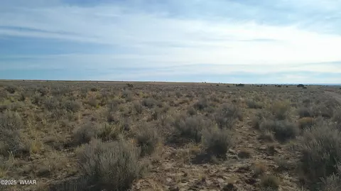 tbd River Meadows Ranch 2, Concho, AZ 85924 photo 8
