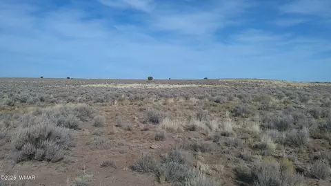 tbd River Meadows Ranch 2, Concho, AZ 85924 photo 6