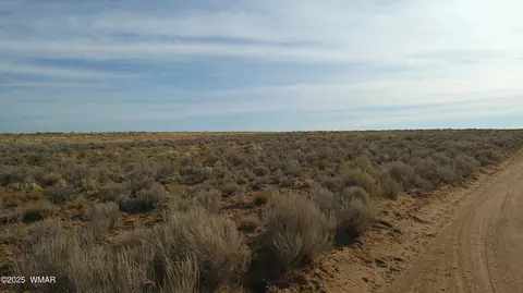 tbd River Meadows Ranch 2, Concho, AZ 85924 photo 4