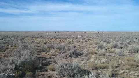 tbd River Meadows Ranch 2, Concho, AZ 85924 photo 7