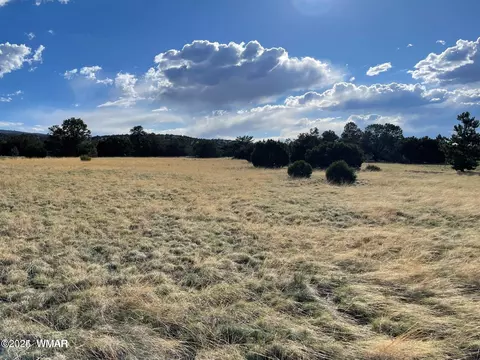 tbd Sky Crest Dr, Eagar, AZ 85925