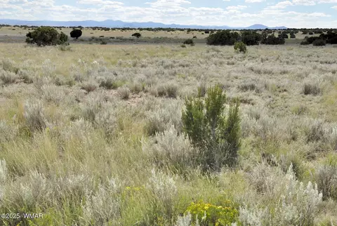 232 Acres River Springs Rnch, Saint Johns, AZ 85936