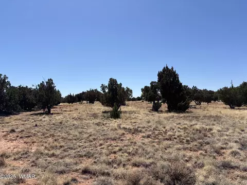 3513 Mill View Rd, Heber, AZ 85928
