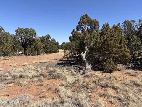 3527 Mill View Rd, Heber, AZ 85928