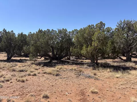 3512 Mill View Rd, Heber, AZ 85928