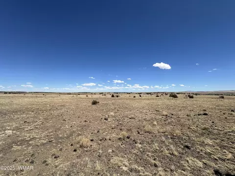 tbd County Road 5132, Concho, AZ 85924