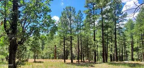 2526 Well Water Rd, Happy Jack, AZ 86024