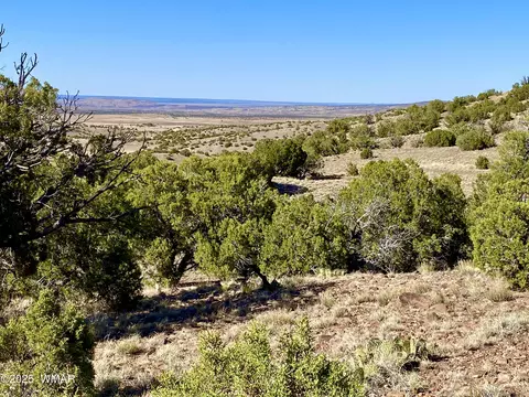 tbd Co Rd 5062 Lot 1 353 Acres, Concho, AZ 85924