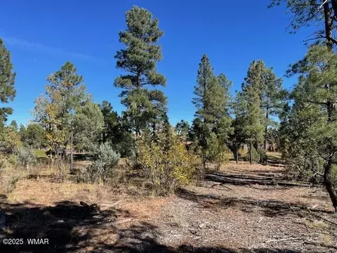 5361 S Lake Mountain Dr, Show Low, AZ 85901