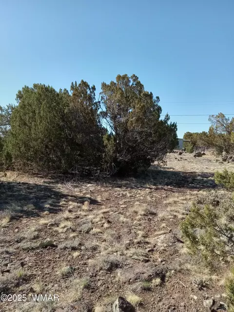 8579 Jackrabbit Dr, Show Low, AZ 85901