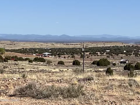 232 S Savage Rd, Snowflake, AZ 85937 photo 26