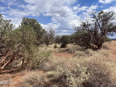 4341 Clydesdale Rd, Snowflake, AZ 85937 photo 7