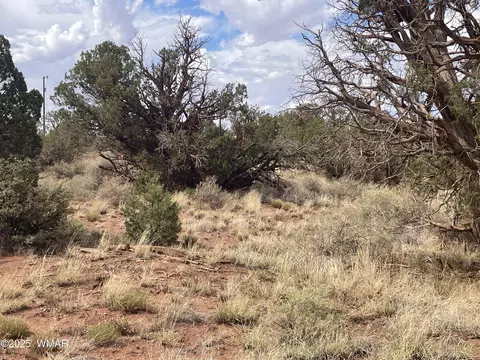 4341 Clydesdale Rd, Snowflake, AZ 85937 photo 4