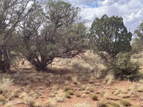 4341 Clydesdale Rd, Snowflake, AZ 85937 photo 10